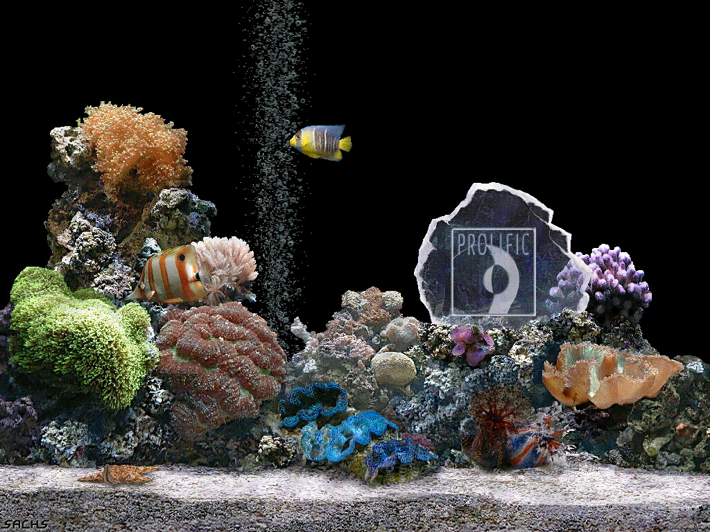 download marine aquarium screensaver for windows 7