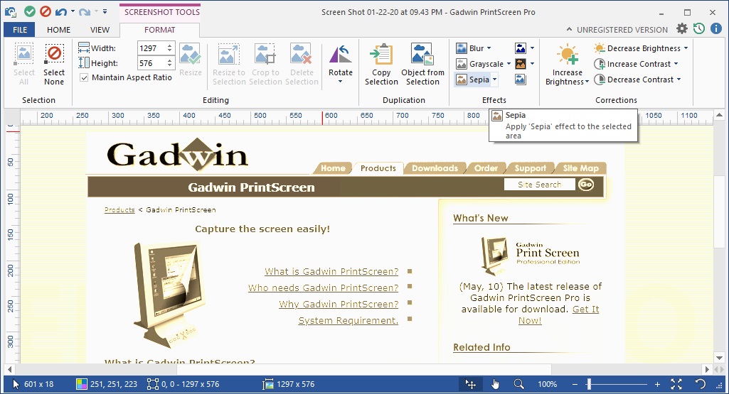 Gadwin Printscreen 4.7