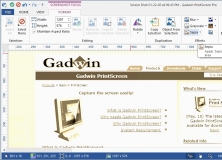 gadwin printscreen professional 4.8 serial