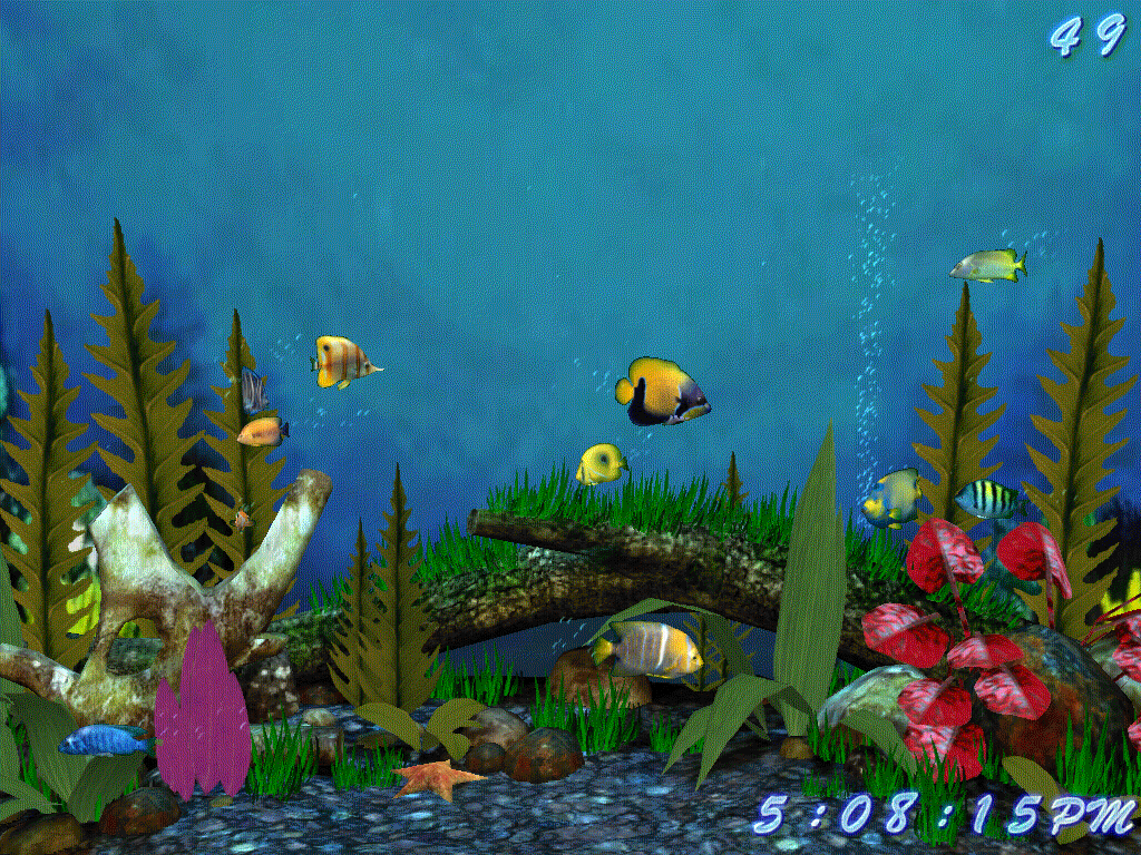 Fish Aquarium 3D Screensaver Download - The Fish Aquarium 3D Screensaver  will bring an aquarium to your desktop