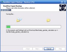 Backrex internet explorer backup что это