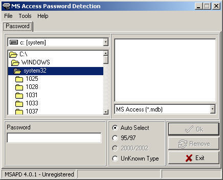 remove ms access password