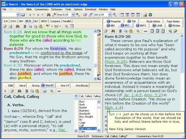 tamil bible projector software