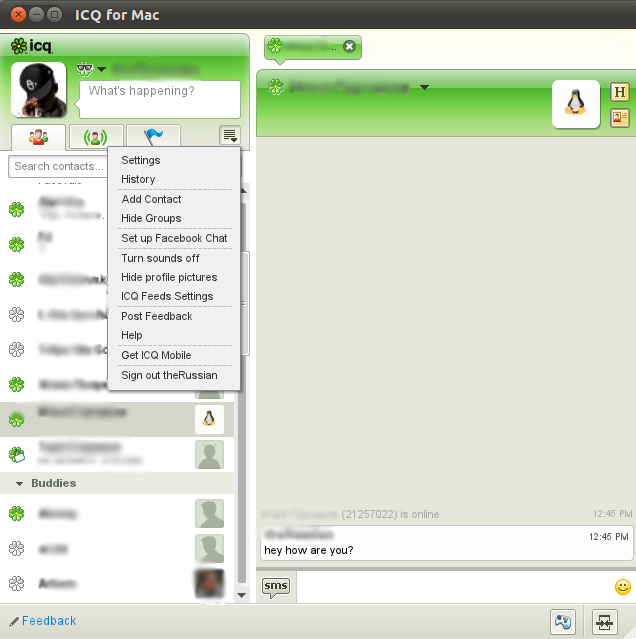ICQ 1.0 : Contact Window's Preferences