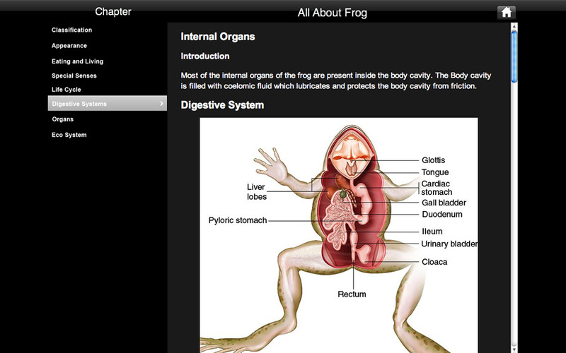 Frog Dissection 1.0 : Frog Dissection screenshot
