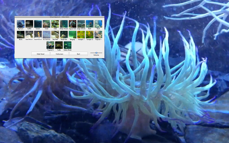 Virtual Aquarium 1.0 : Main window