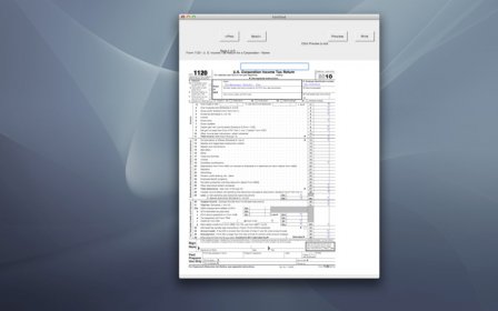 Taxsoft2_2010 screenshot
