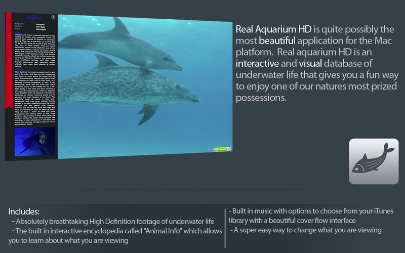 Real Aquarium HD 1.2 : Real Aquarium HD screenshot