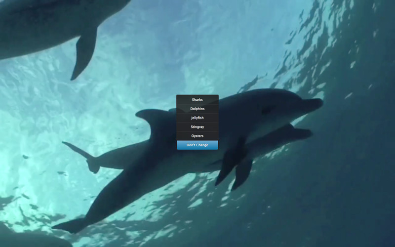 Real Aquarium HD 1.2 : Real Aquarium HD screenshot