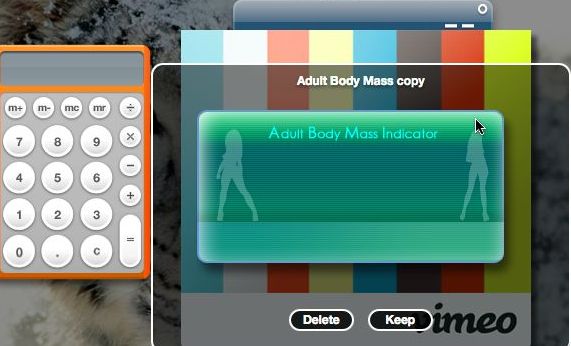 Adult Body Mass Indicator 2.0 : Main window