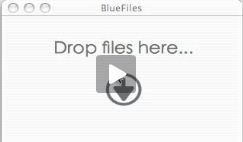 BlueFiles 1.1 : General view