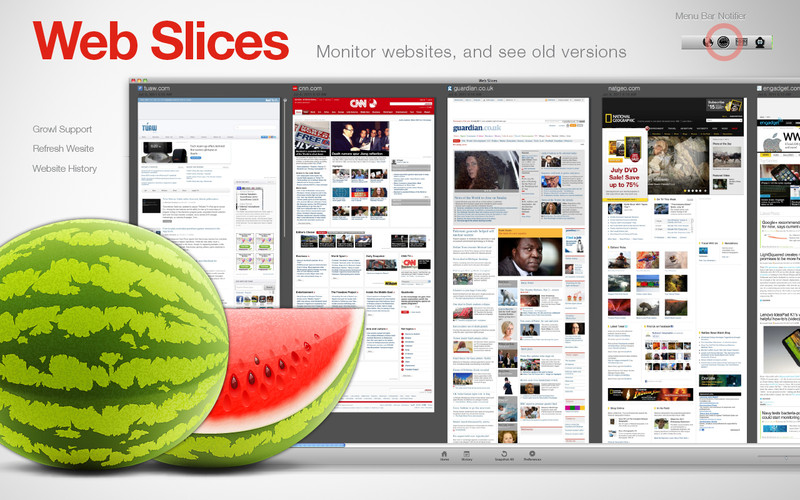 Web Slices - Site Snapshots 1.0 : Web Slices - Site Snapshots screenshot