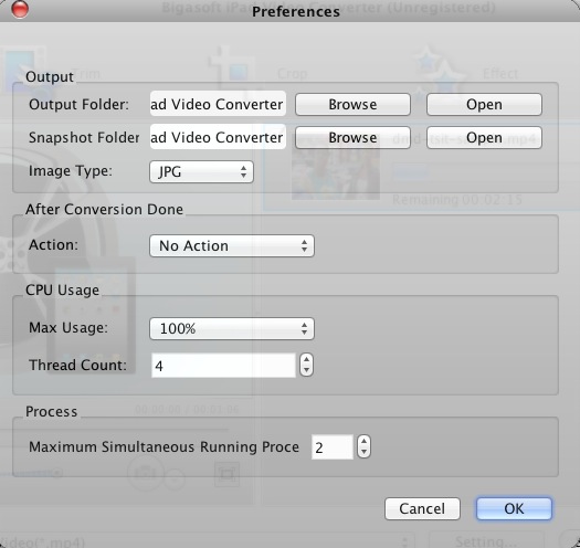 Bigasoft iPad Video Converter 3.6 : Preferences