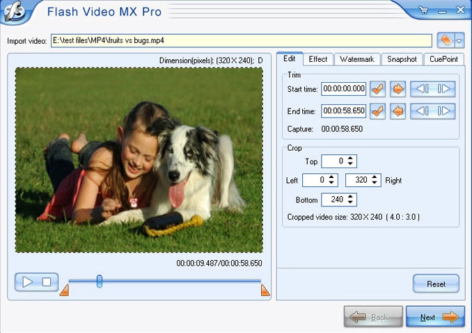 Flash Video MX 1.0 : Main window