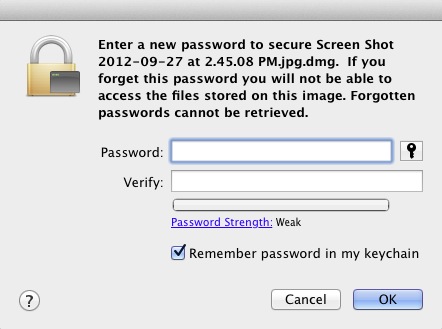 Encrypt This 1.1 : Enter password