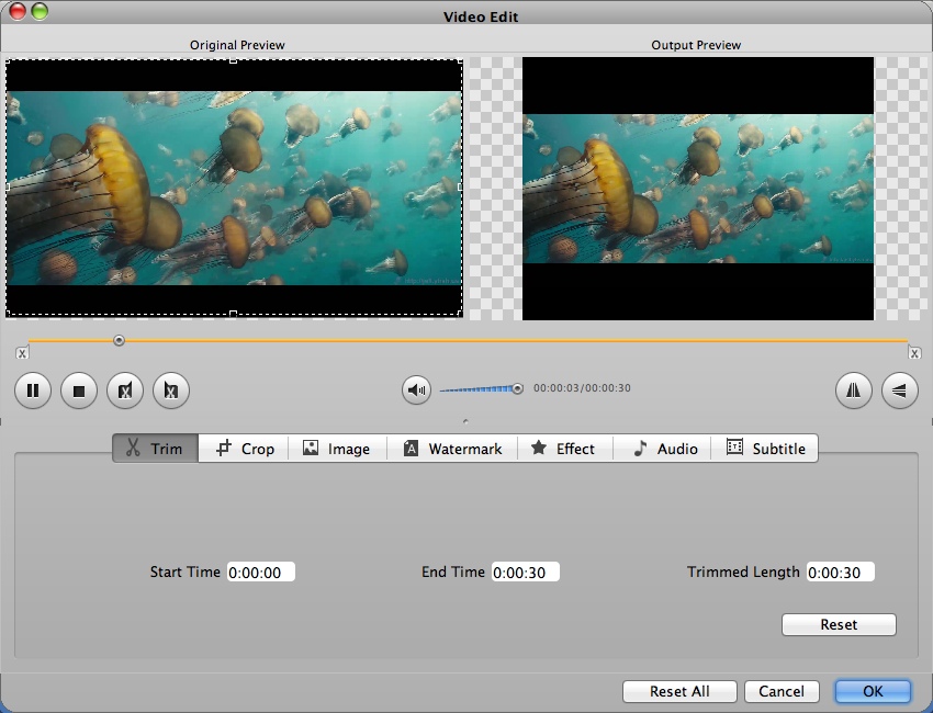 Bigasoft iPad Video Converter for Mac 3.7 : Editing Input Video File