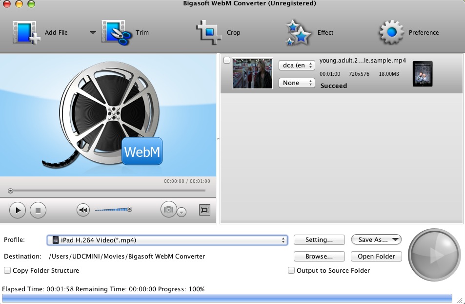 Bigasoft WebM Converter 3.6 : Main window