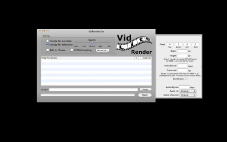 VidRender Lite screenshot