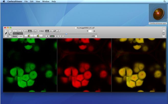Simple Confocal Viewer 1.0 : General view