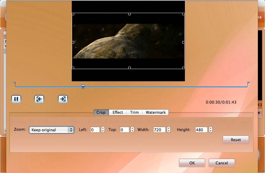 DVDRipper 3.1 : Editing Video