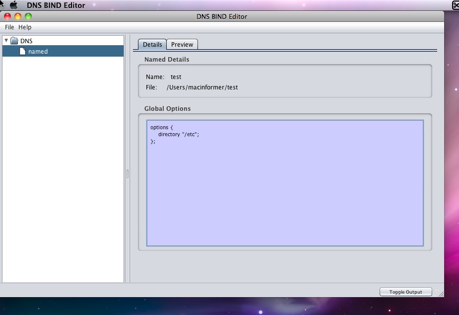 DNS BIND Editor Installer 2.3 : Main window