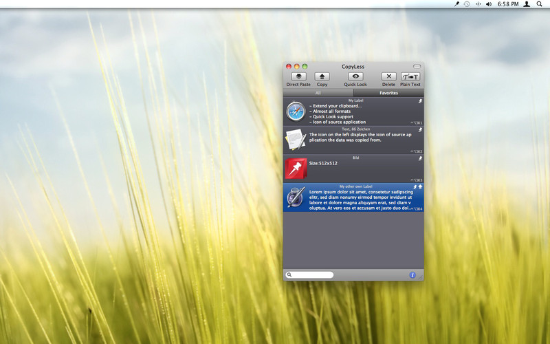 CopyPaster 1.7 : CopyLess screenshot