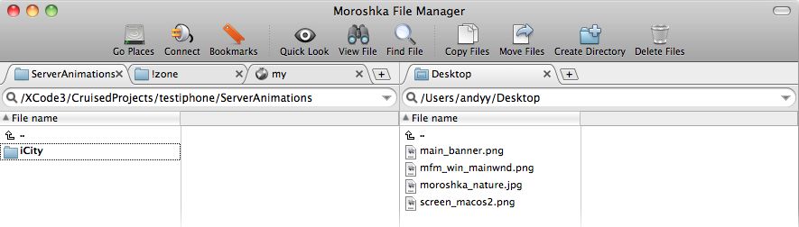 Moroshka File Manager 1.0 : Main window