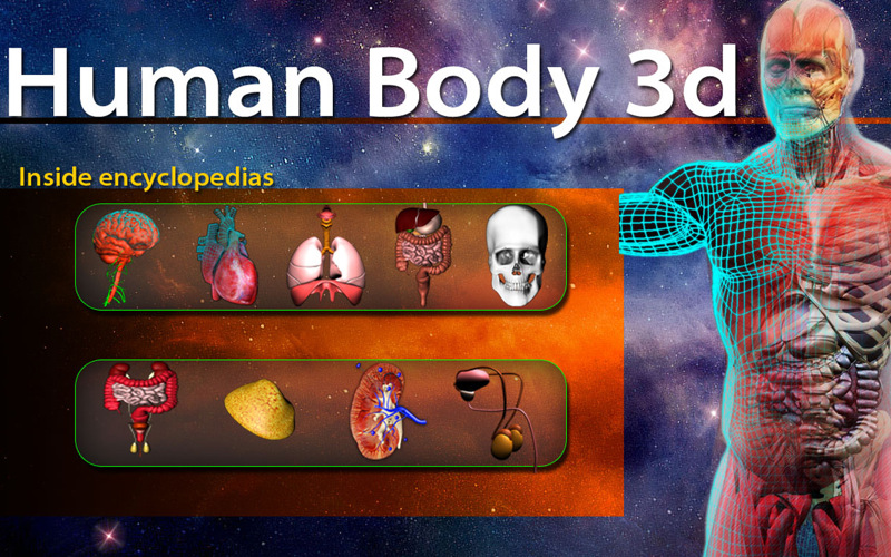 3D Human Body Organs Reference 1.0 : Main window