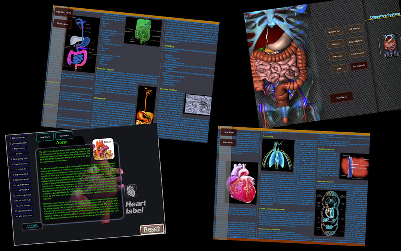 3D Human Body Organs Reference 1.0 : 3D Human Body Organs Reference screenshot