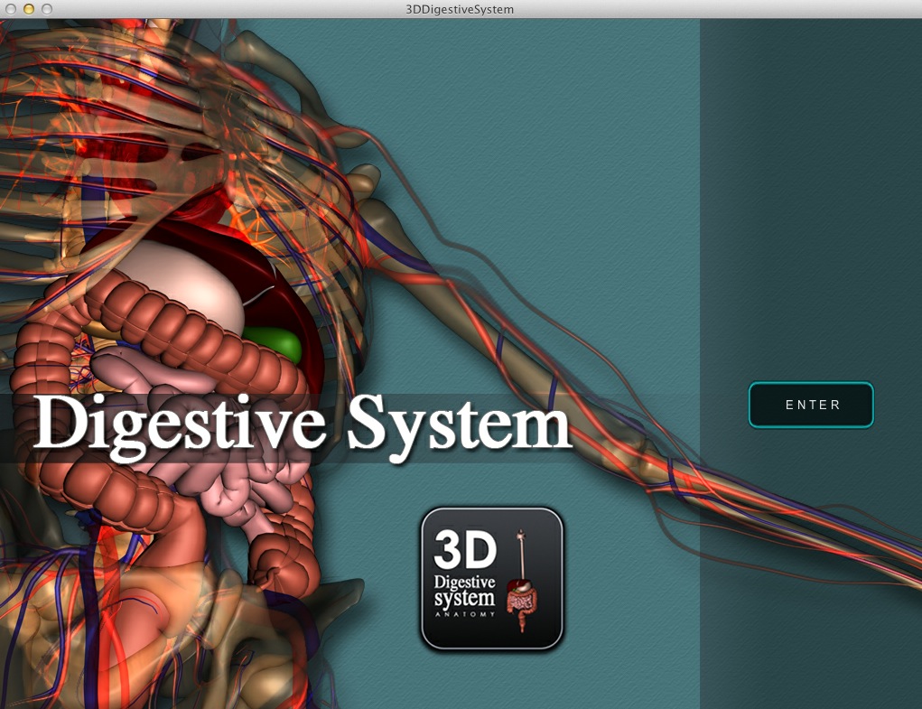 3D Digestive System 1.0 : Main window