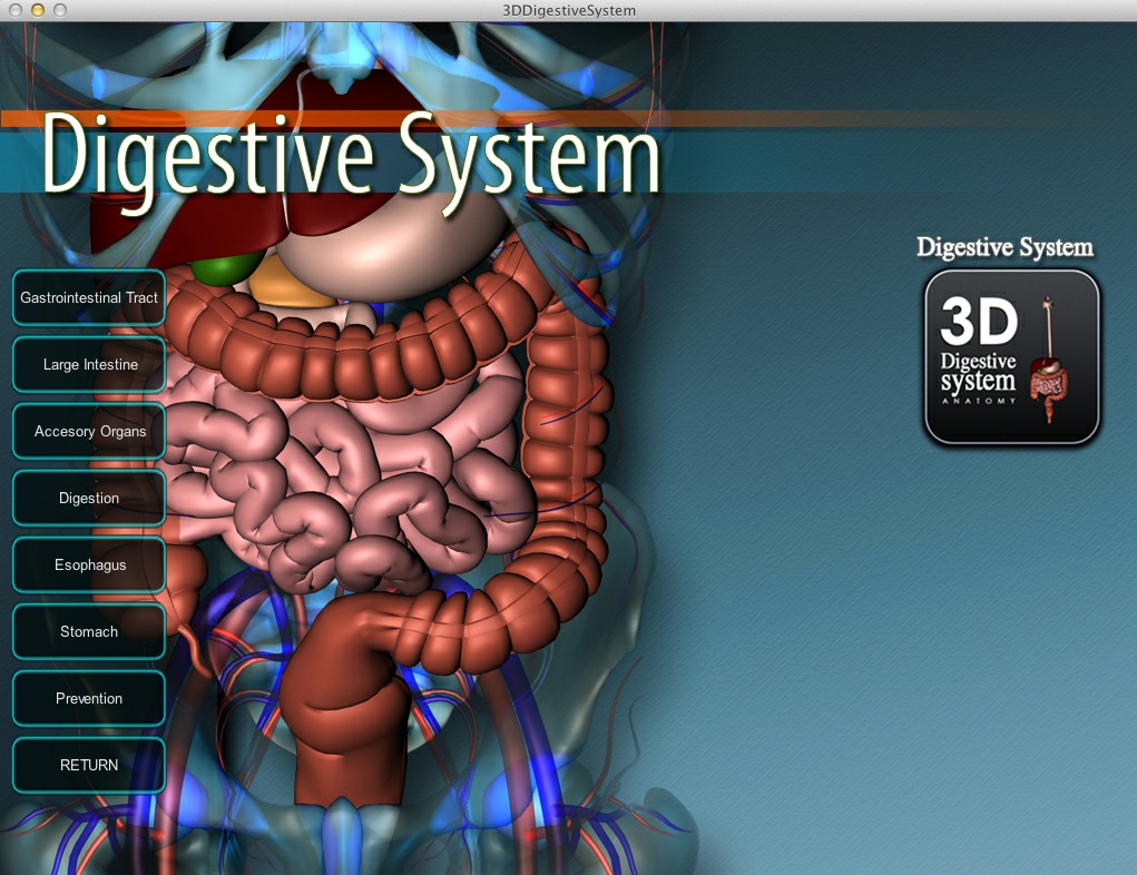 3D Digestive System 1.0 : Encyclopedia items