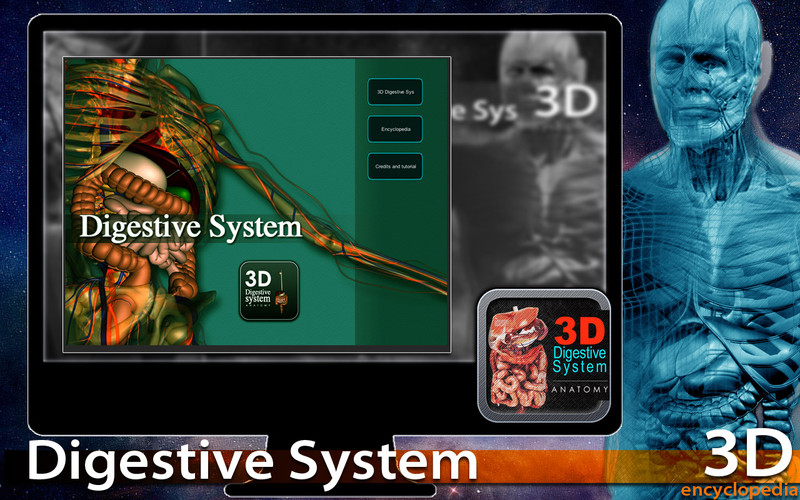 3D Digestive System 1.0 : 3D Digestive System screenshot