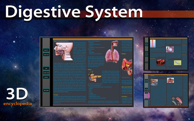 3D Digestive System 1.0 : 3D Digestive System screenshot