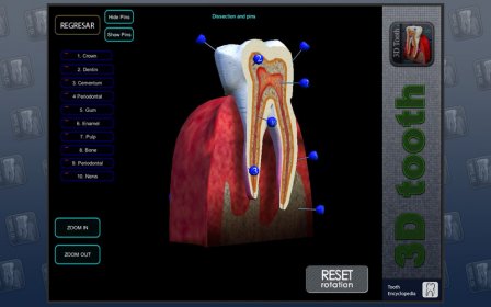 3D Tooth - St screenshot