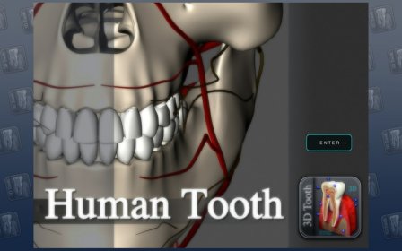 3D Tooth - St screenshot