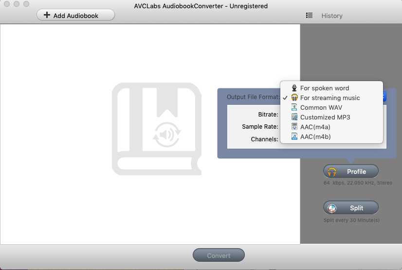 AVCLabs Audiobook Converter 2.2 : Profile Options
