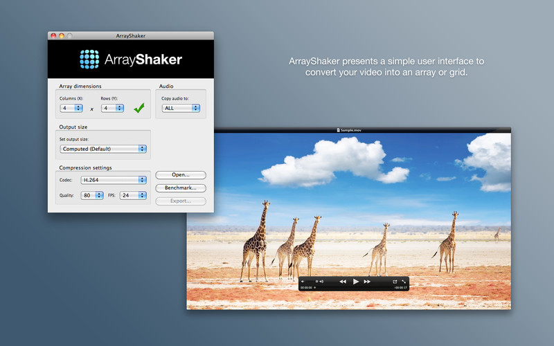 ArrayShaker 1.0 : ArrayShaker screenshot