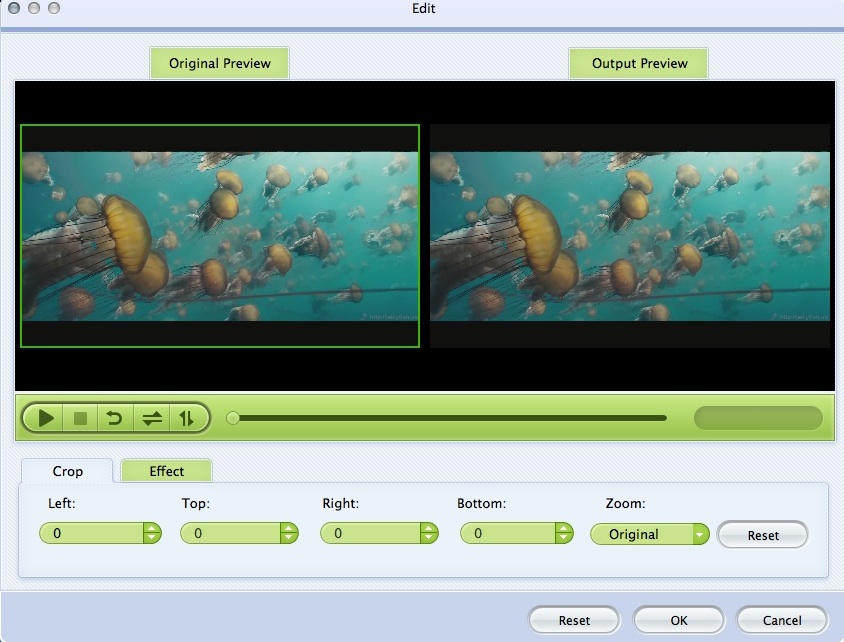 iOrgsoft Movie converter for Mac 4.1 : Editing Input Video