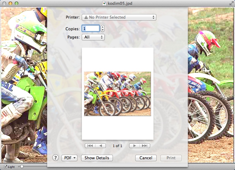 PhotoDefiner Viewer 1.0 : Printing Image