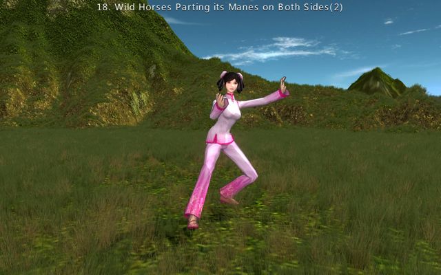 3D Tai Chi Chuan 1.0 : Wild Horses Parting its Manes on Both Sides