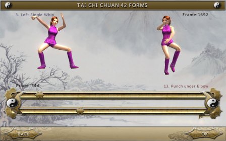 3D Tai Chi Chuan screenshot