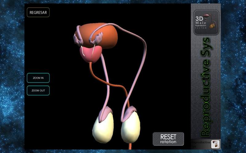 3D Reproductive System 1.0 : 3D Reproductive System screenshot