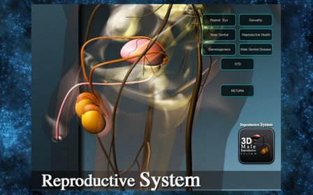 3D Reproductive System screenshot
