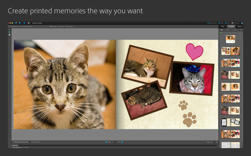Adobe Photoshop Elements Editor 9.0 : Main window