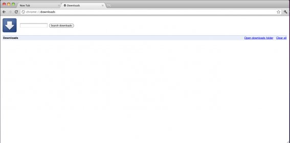 Google Chrome Downloads Screen