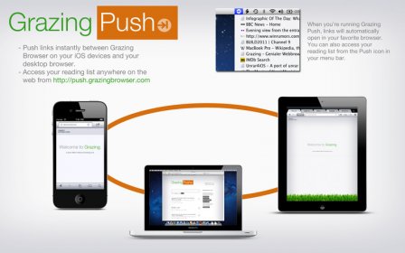 Grazing Push screenshot