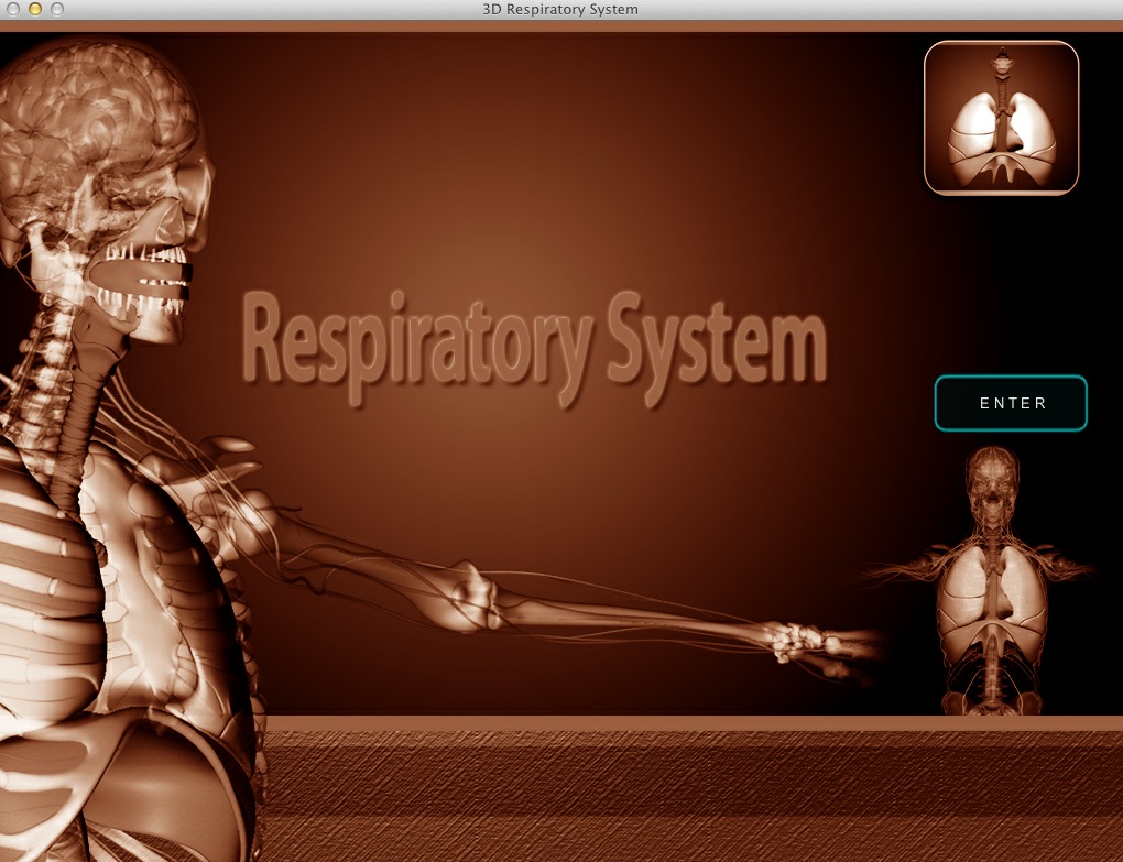 3D Respiratory System 1.0 : Main window