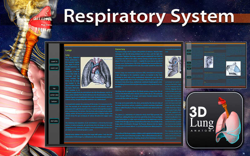 3D Respiratory System 1.0 : 3D Respiratory System screenshot