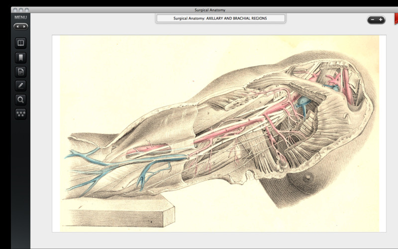 Surgical Anatomy - Premium Edition 1.0 : Surgical Anatomy - Premium Edition screenshot