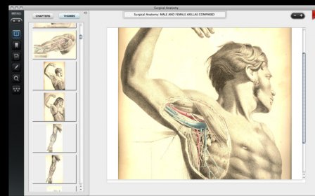 Surgical Anatomy - Premium Edition screenshot